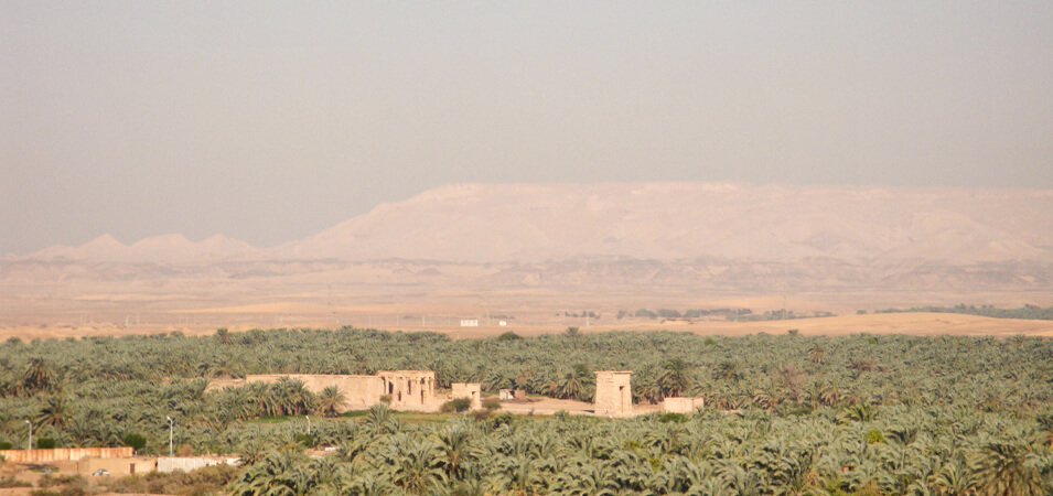 Kharga Oasis