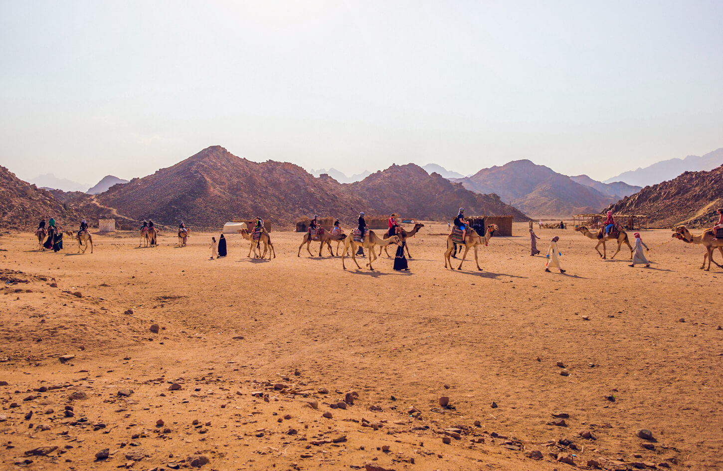 Sinai Desert In Egypt
