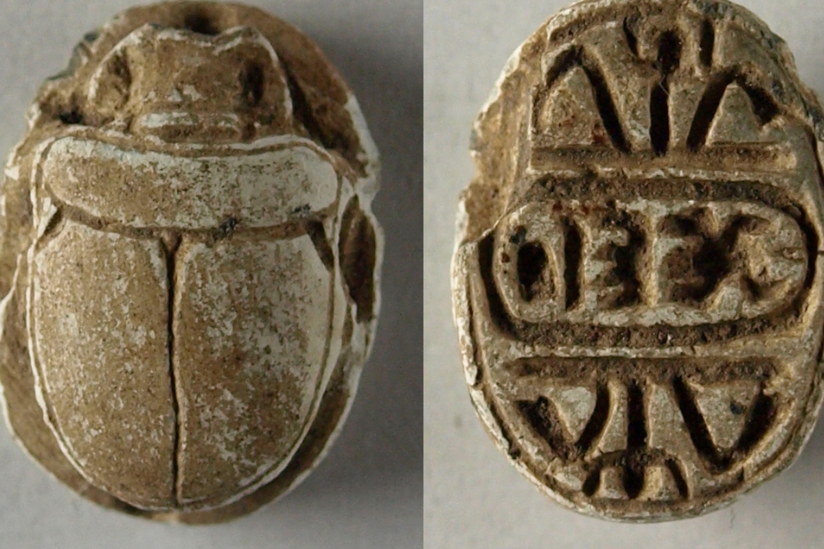 beetle egyptian scarab
