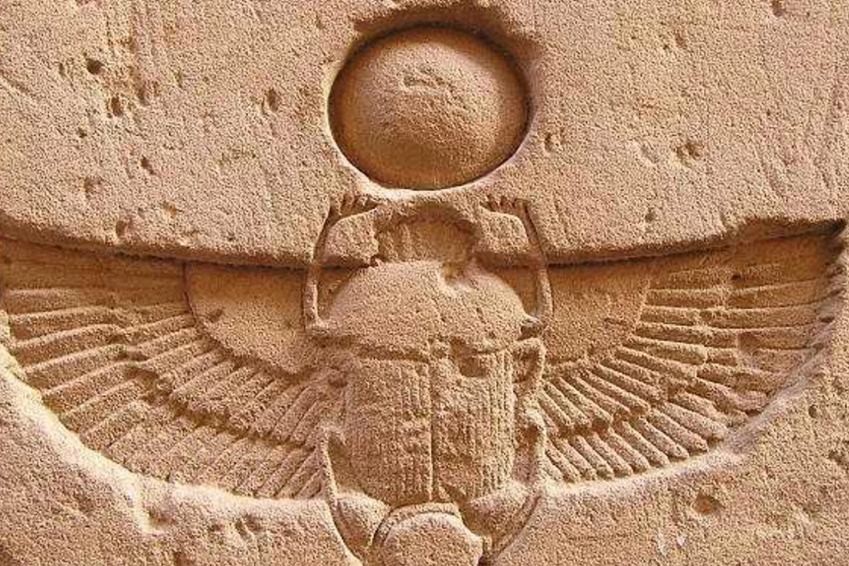 egyptian scarab beetle
