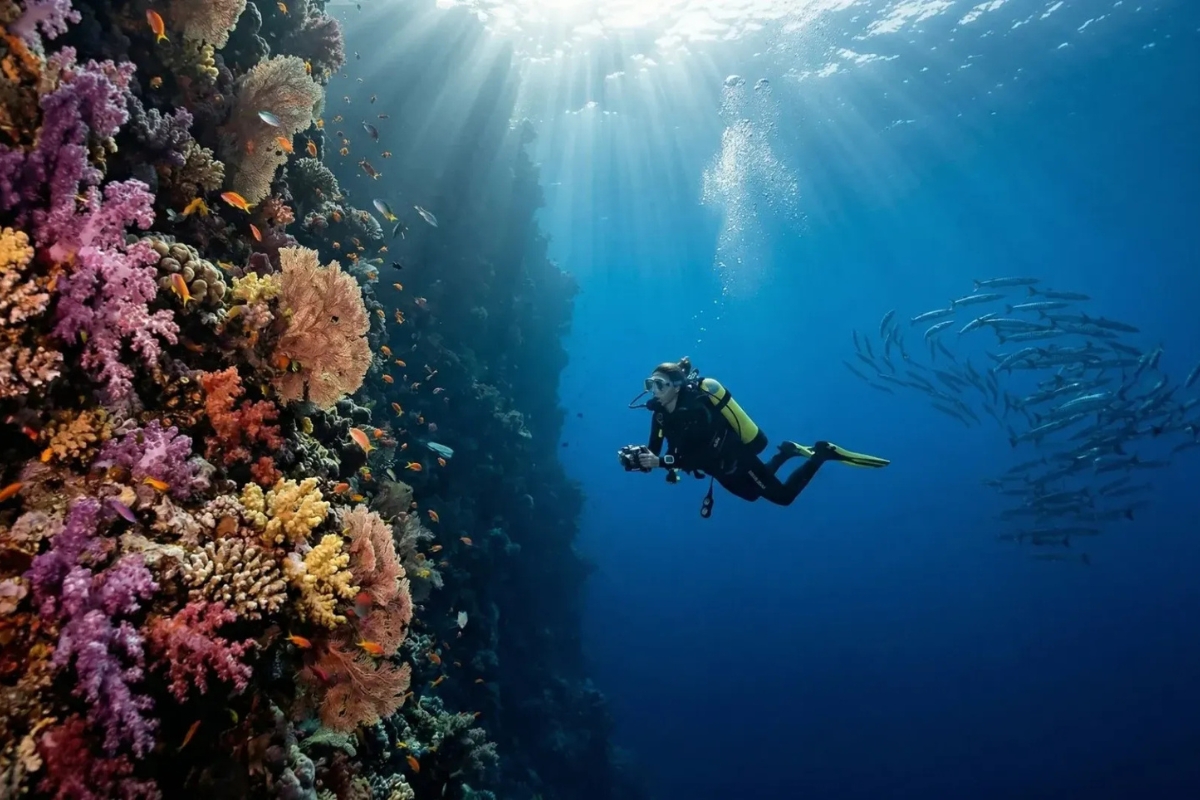 scuba diving egypt hurghada