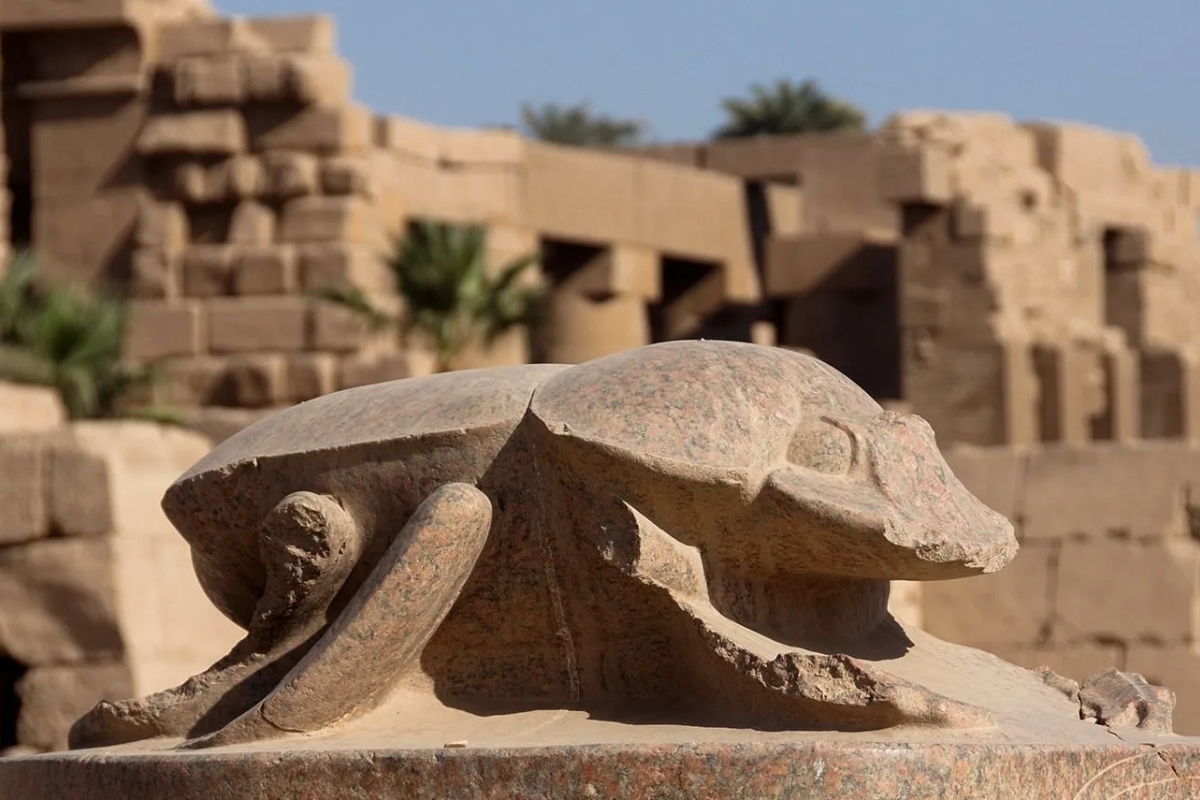 sacred beetles of ancient egypt